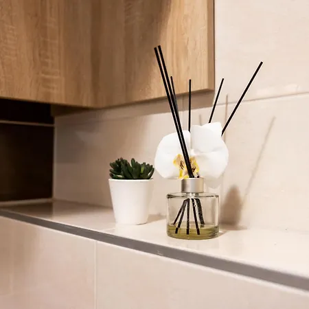 公寓 Luxury Penthouse *