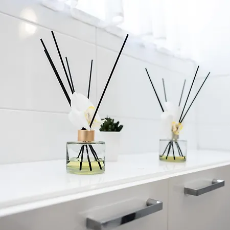 公寓 Luxury Penthouse