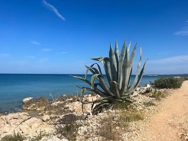 Apartment Luxury Penthouse *