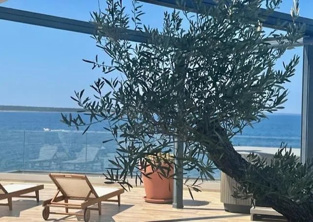 Luxury Penthouse 아파트